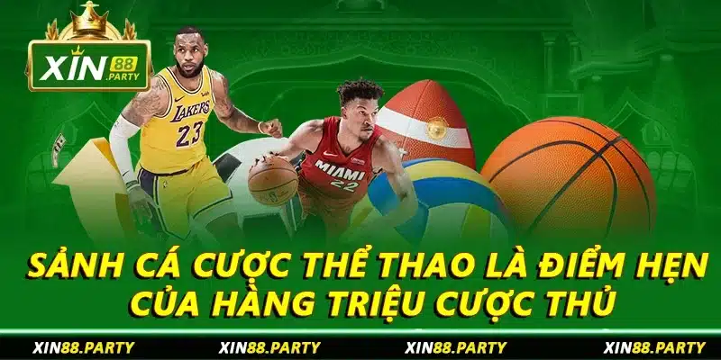 Sảnh cá cược thể thao là điểm hẹn của hàng triệu cược thủ